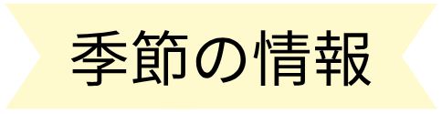 季節の情報