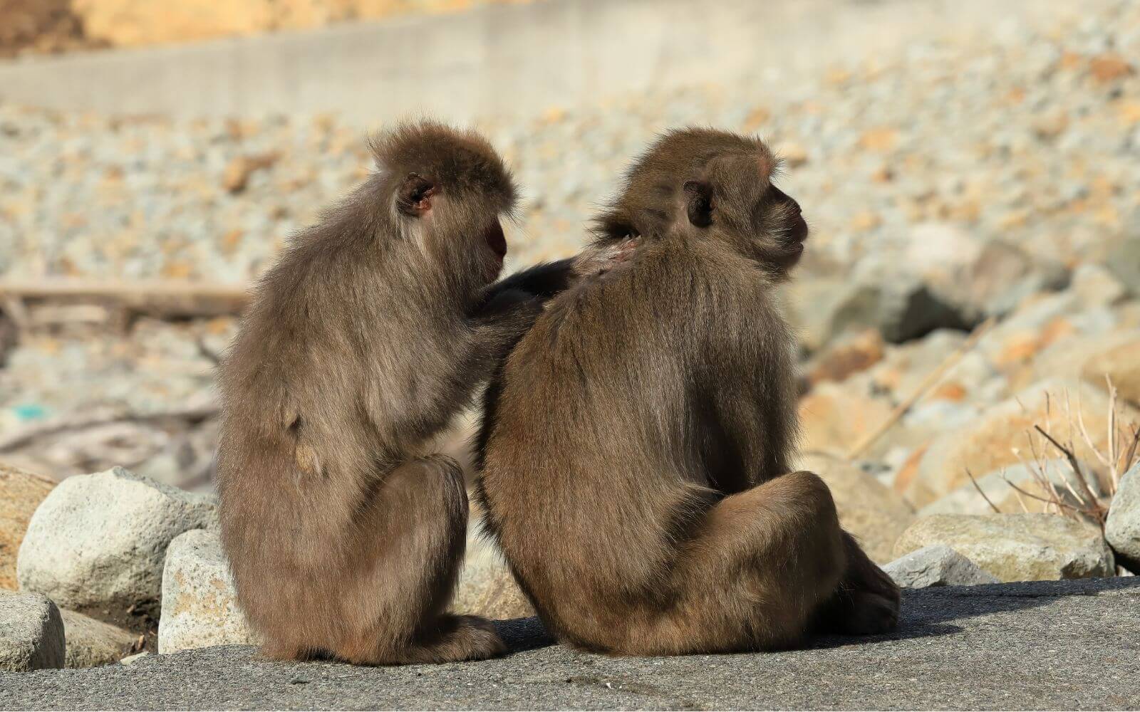 石廊崎(静岡)
