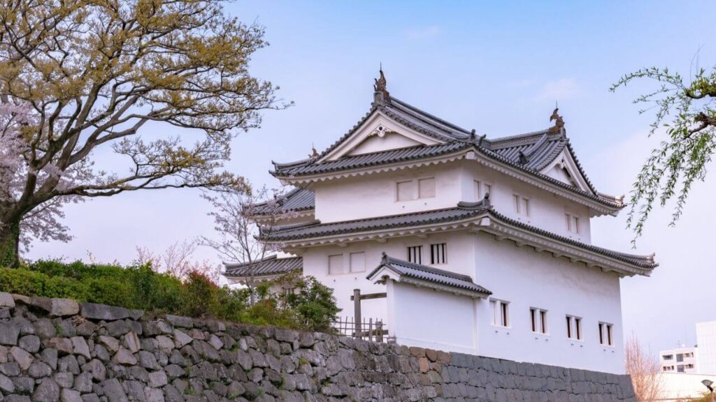 静岡観光(駿府城)