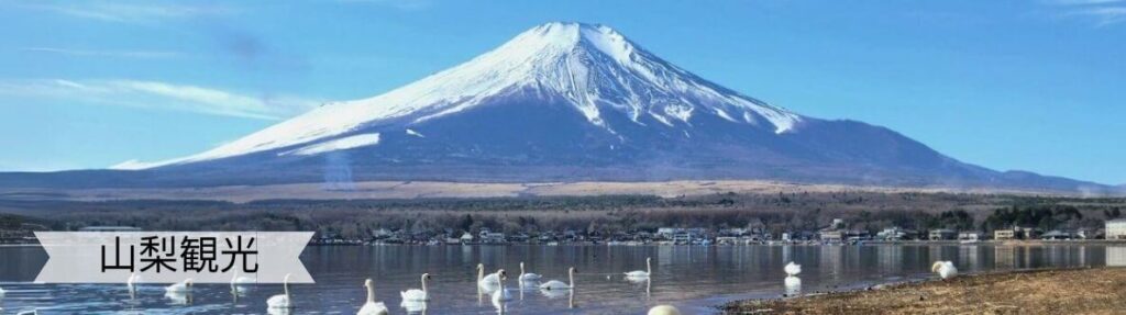 山梨観光